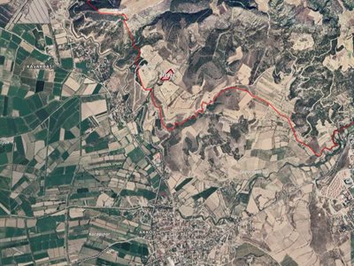 LANDEX OFFICE den Akköy de Satılık 8400 m2 Zeytinlik.