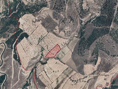 LANDEX OFFICE den Akköy de Satılık 8400 m2 Zeytinlik.