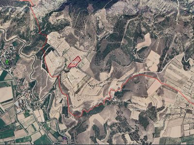 LANDEX OFFICE den Akköy de Satılık 8400 m2 Zeytinlik.